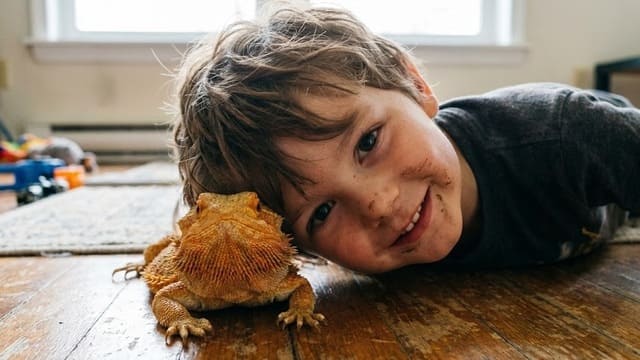 Garoto deitado ao chão com sua pogona de estimação
