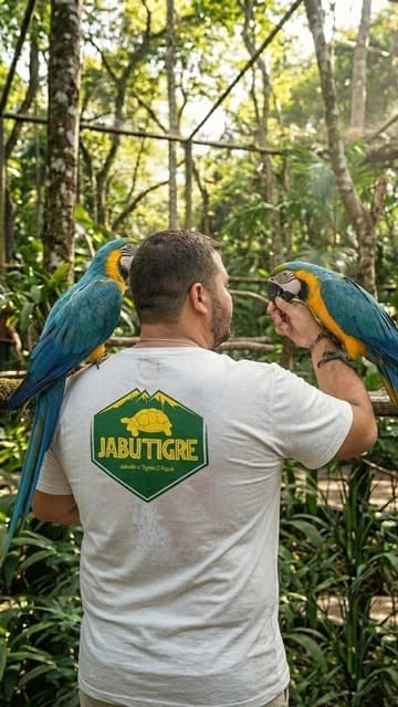 Tratador cuidando de duas araras canindés